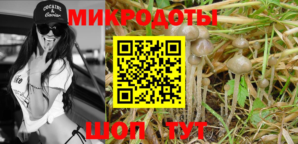 Галлюциногенные грибы GOLDEN TEACHER  Галлюциногенные грибы ЛСД  Симферополь  Вход с VPN 