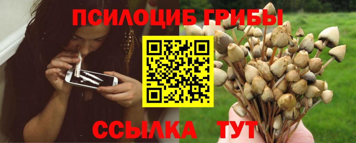 Галлюциногенные грибы Magic Shrooms Симферополь
